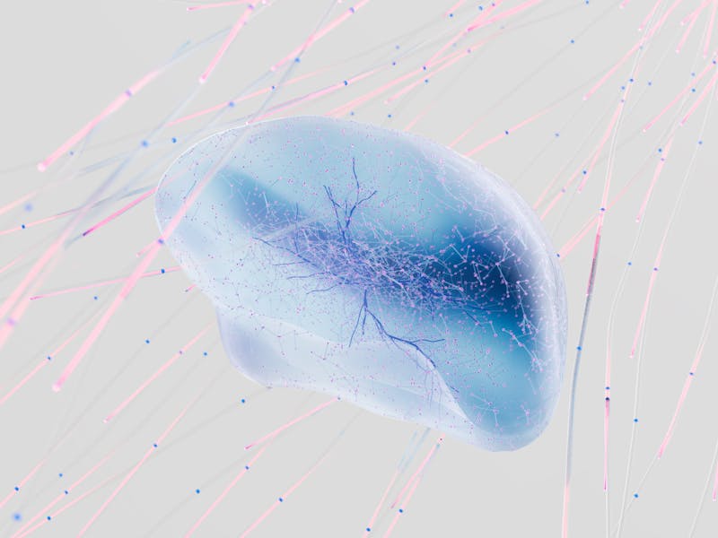 pexels-photo-17483867